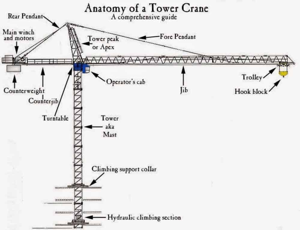 how do tower cranes grow