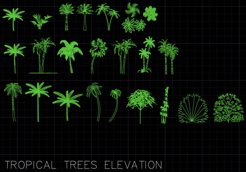 Tropical Trees and Plants - AutoCAD Blocks