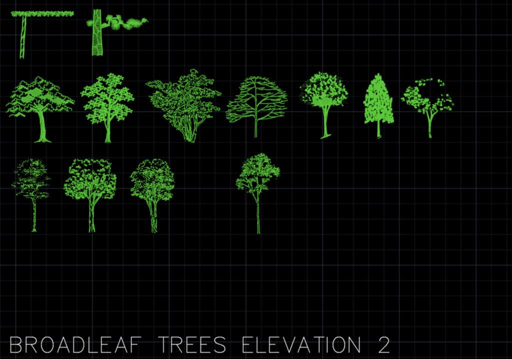 Broadleaf Trees Elevations 2 - AutoCAD Blocks