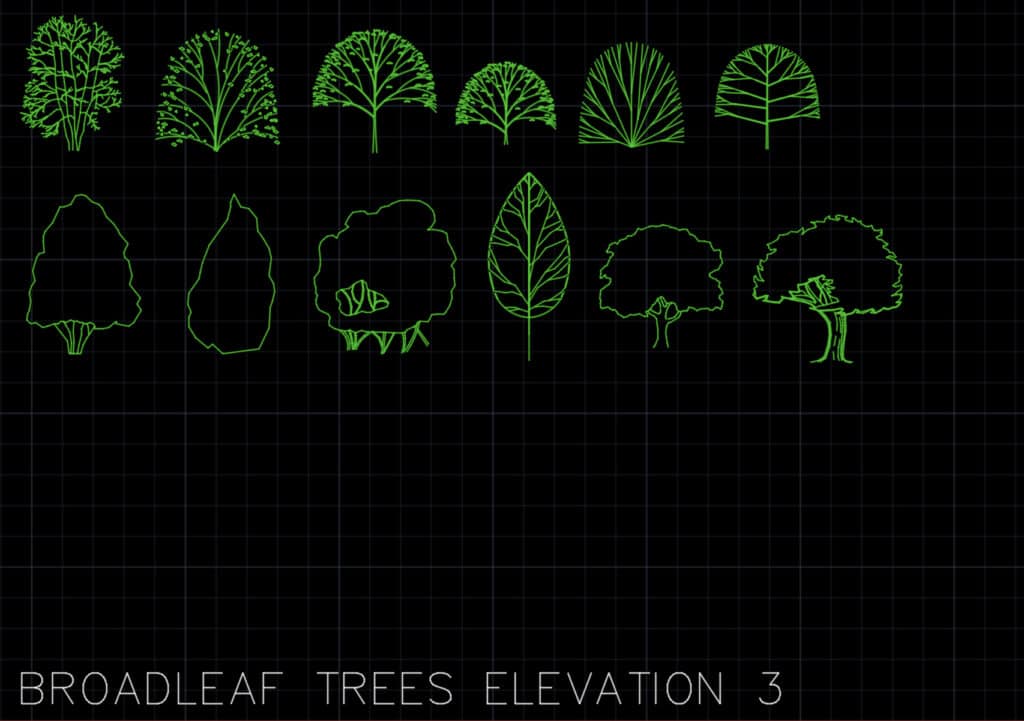 Broadleaf Trees Elevations 3 - AutoCAD Blocks