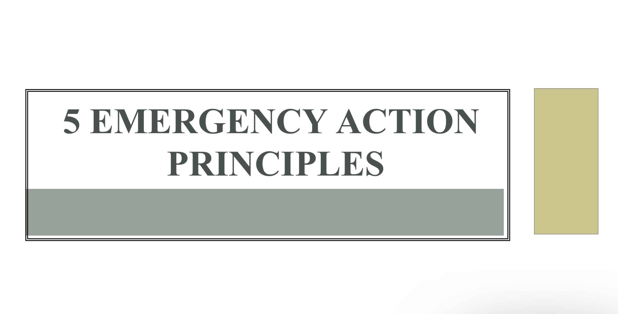 5 Emergency Action Safety Principles Presentation