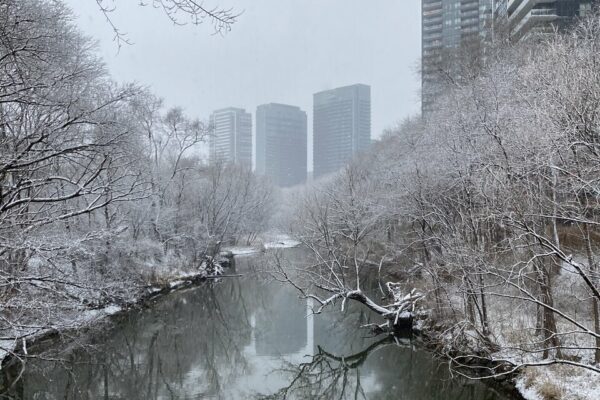 Blanketed | UrbanToronto