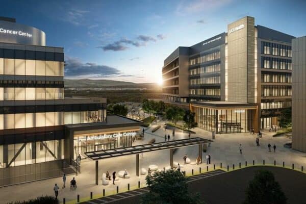 WSP revenue, backlog up while profits sag