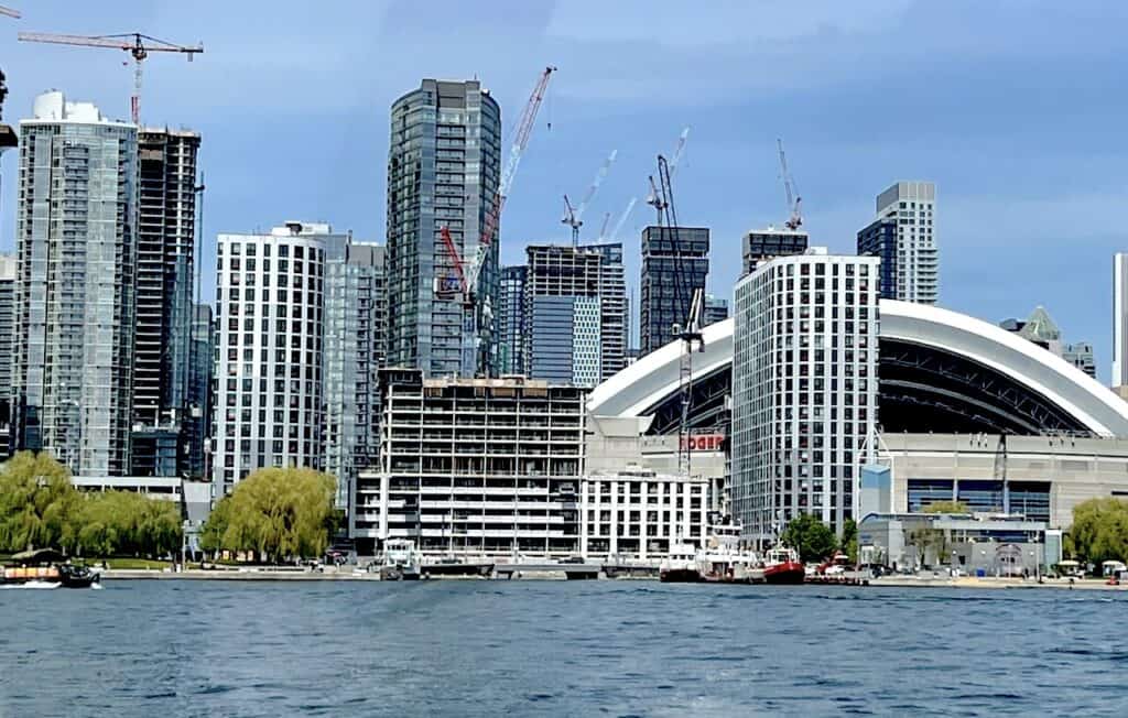 Harbour Views: Crane Your Necks