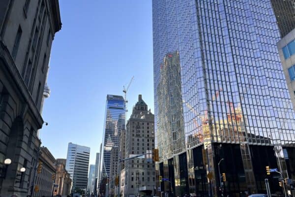 Reflections: kooL uoY reverehW senarC