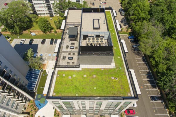 Sustainability & Development: Starlight Provides Snapshot of Current Trends