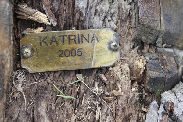 18 years after Katrina levee breaches, group wants future engineers to learn from past mistakes