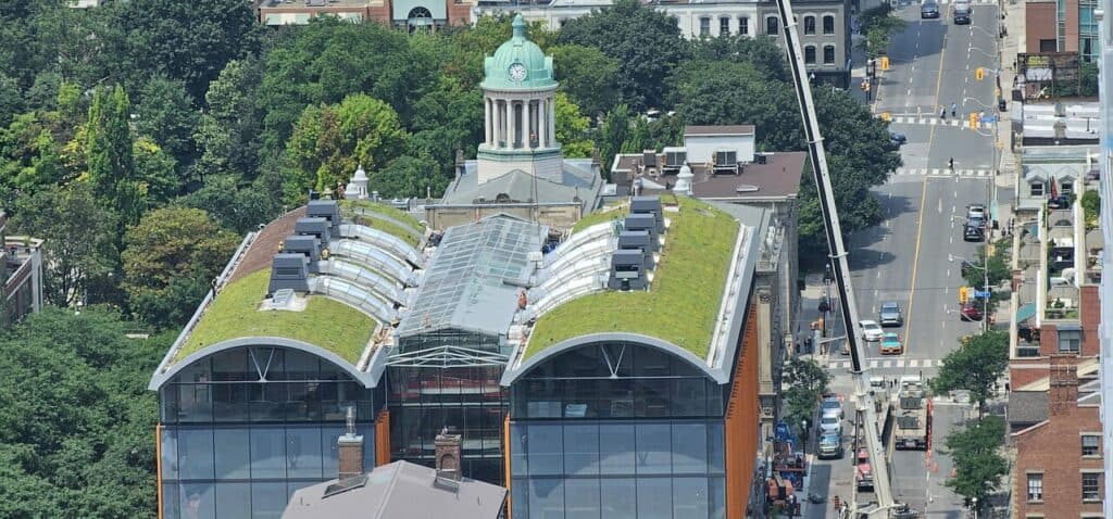 Green Roof Progresses at St Lawrence Market North Building