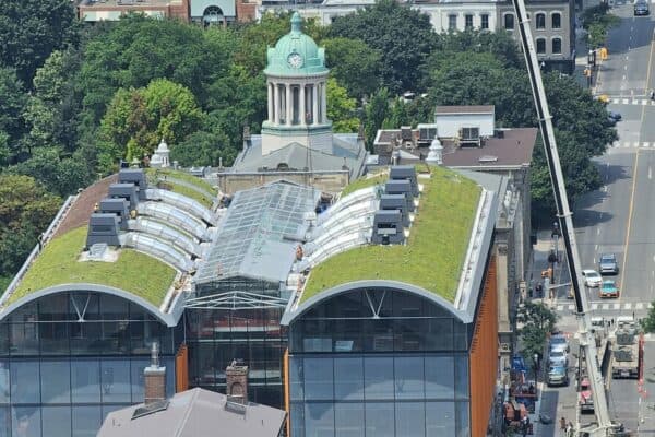 Green Roof Progresses at St Lawrence Market North Building