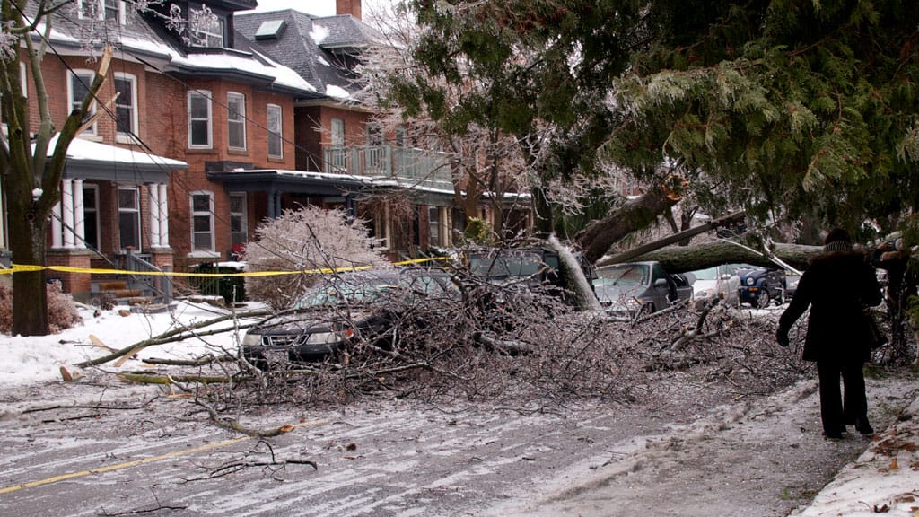 New Impact Centre tool offers strategies for range of climate risks