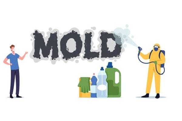 Strategies for Thorough and Safe Remediation