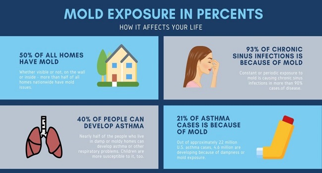 Banishing Mold1 - Strategies for Thorough and Safe Remediation
