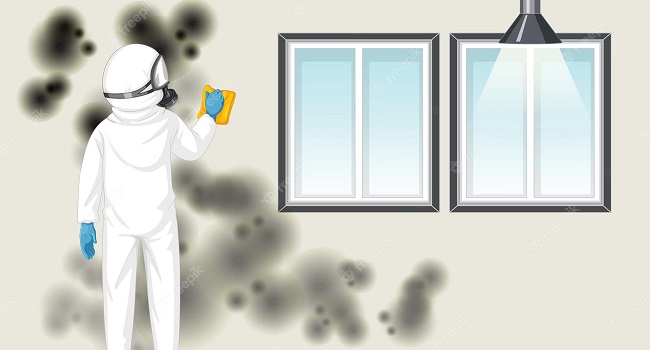Banishing Mold2 - Strategies for Thorough and Safe Remediation