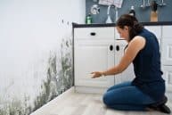 Mould is a Serious Problem in Australian Buildings and Homes – Architecture . Construction . Engineering . Property