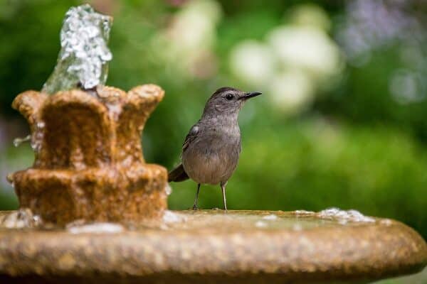 Top 8 Ways To Rejuvenate Your Outdoor Space