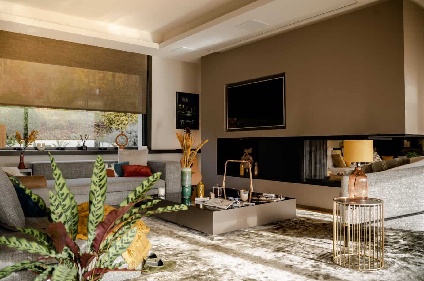 A window into the future: motorized blinds