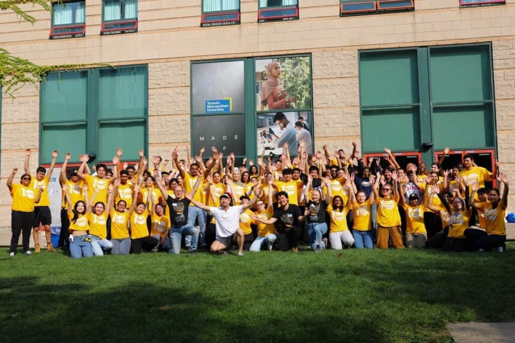 Building a sturdy future: TimberFever 2024