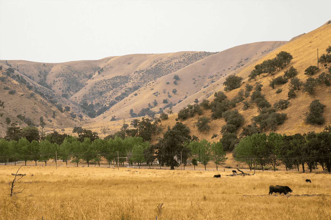 California's Solar-Plus-Storage Surge: A Blueprint for Clean Energy
